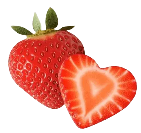 fresa